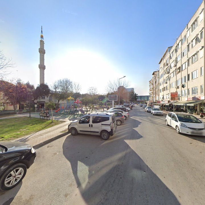 Fotoğraf 9