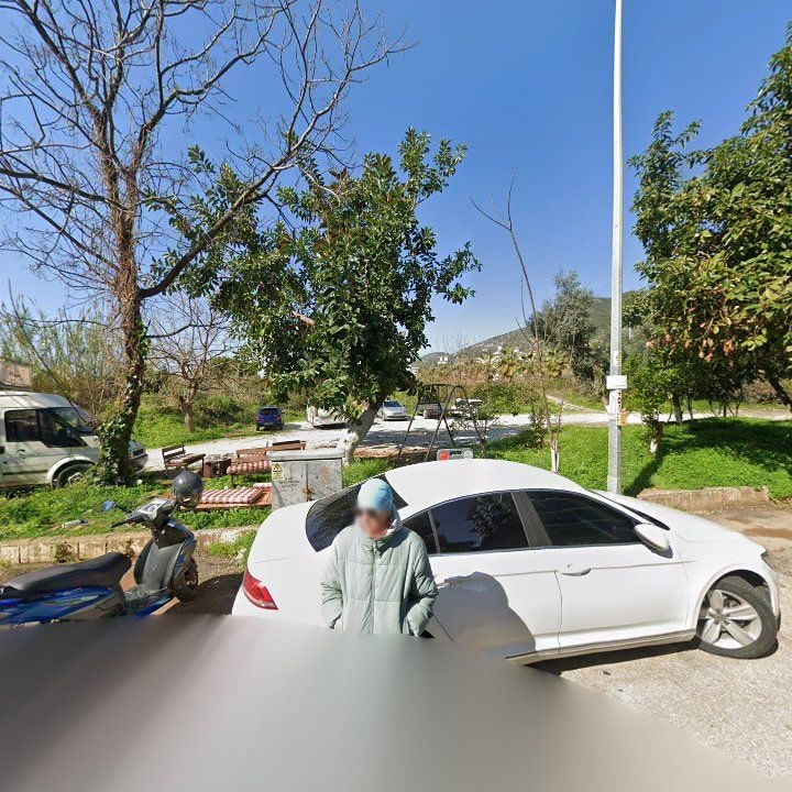 Fotoğraf 3