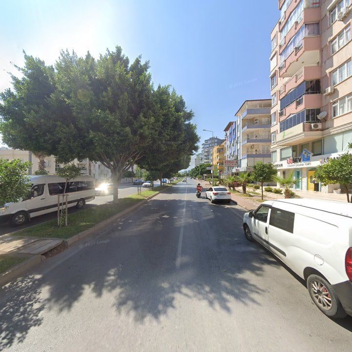 Fotoğraf 11