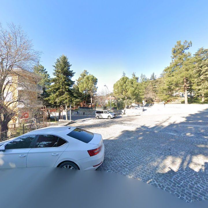 Fotoğraf 8