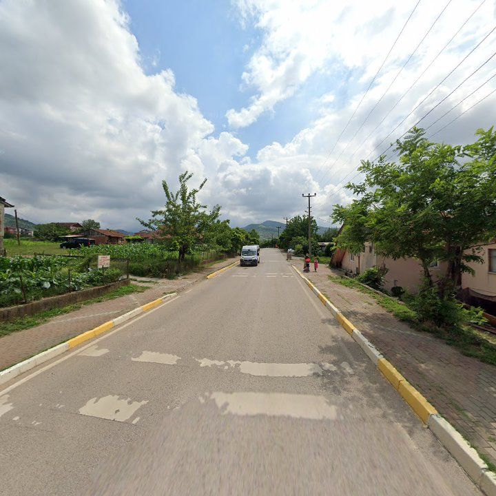 Fotoğraf 9