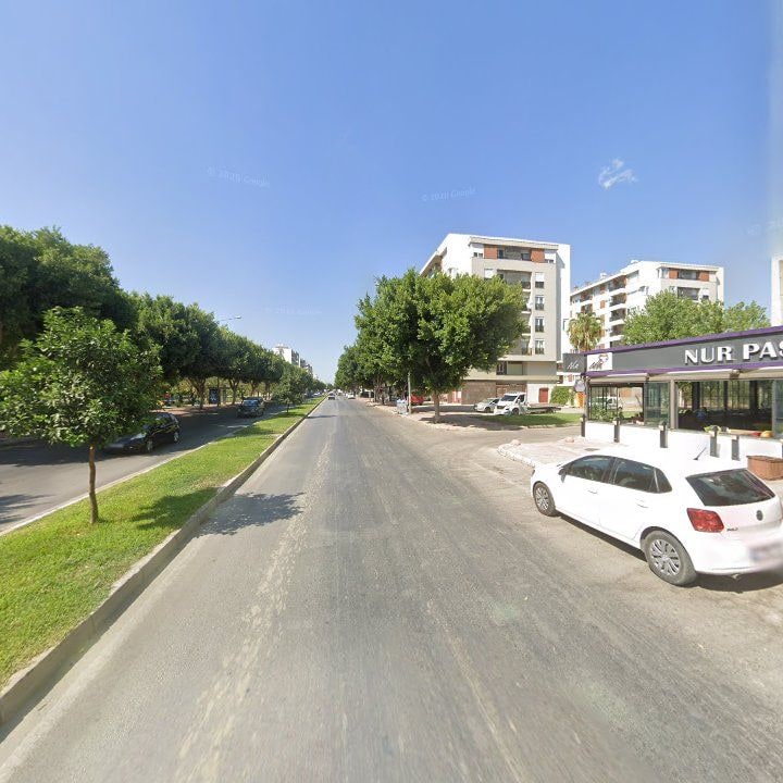 Fotoğraf 8