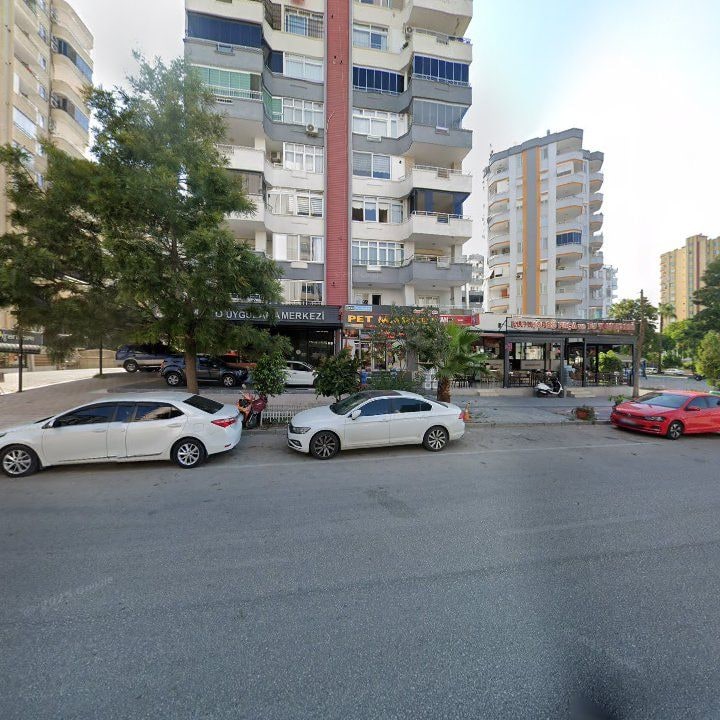 Fotoğraf 3