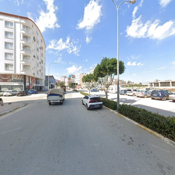 Fotoğraf 11