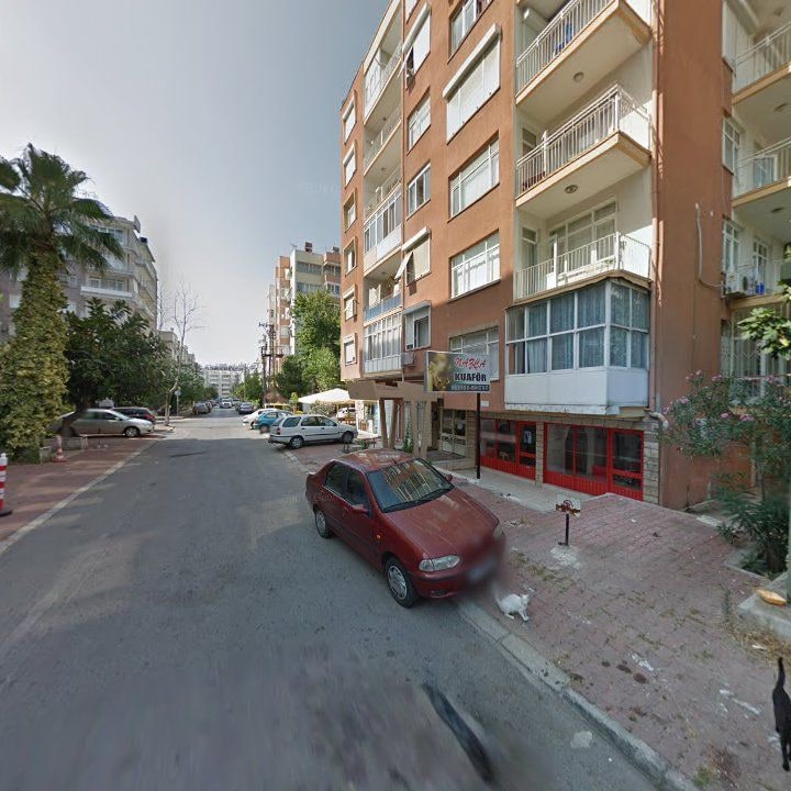 Fotoğraf 10