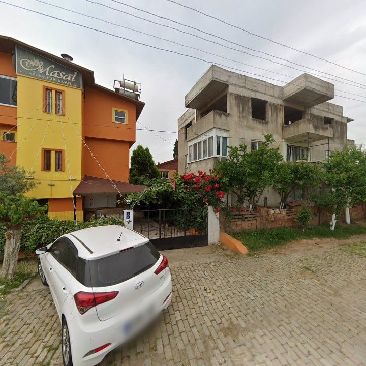 Fotoğraf 8