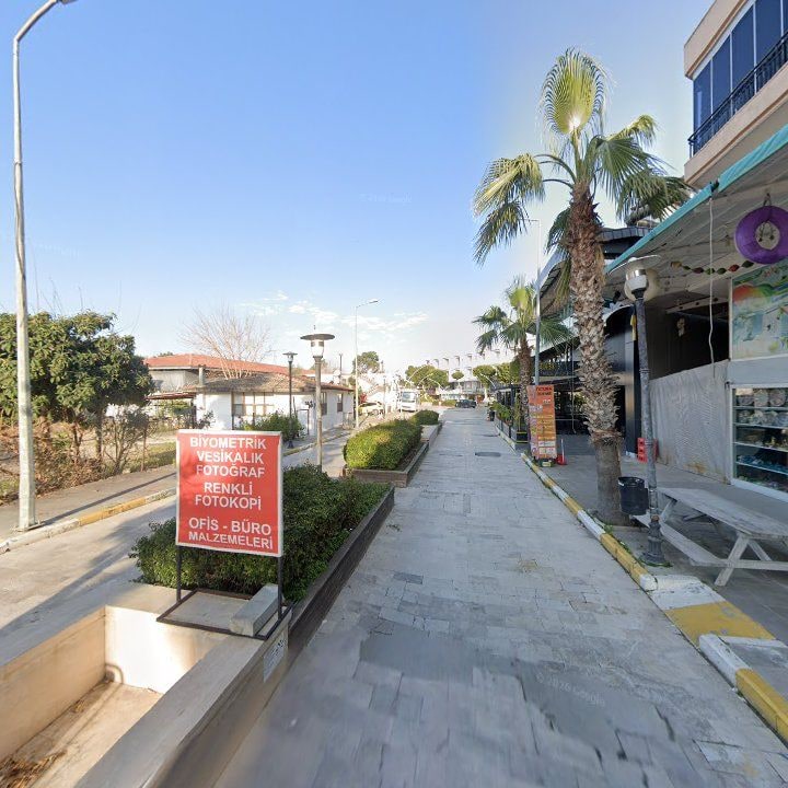 Fotoğraf 13