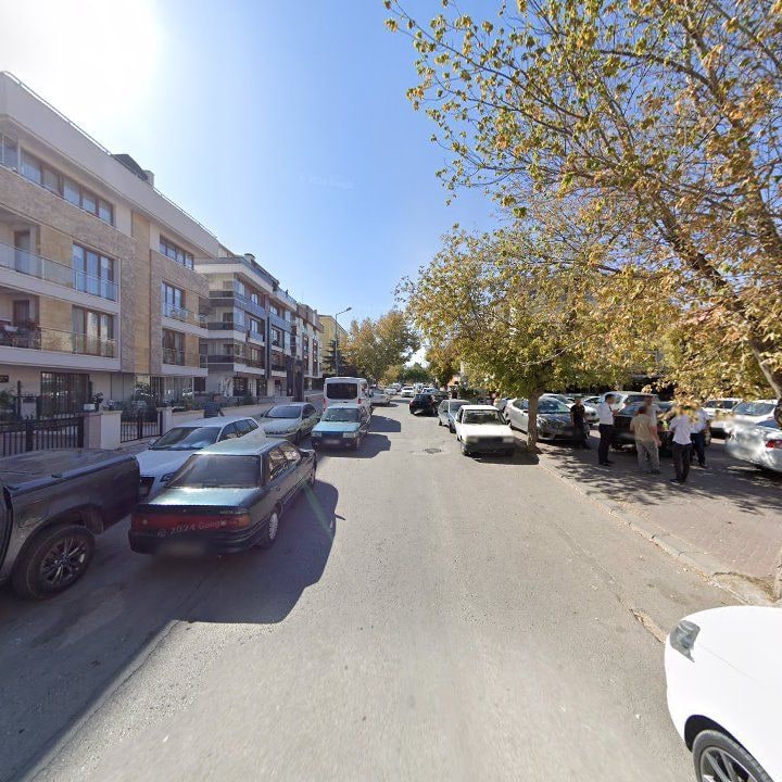 Fotoğraf 8