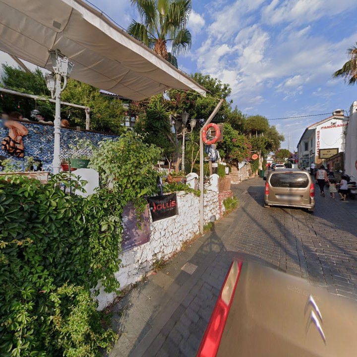 Fotoğraf 14