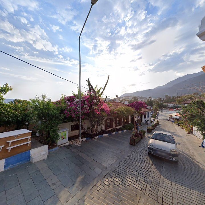 Fotoğraf 12