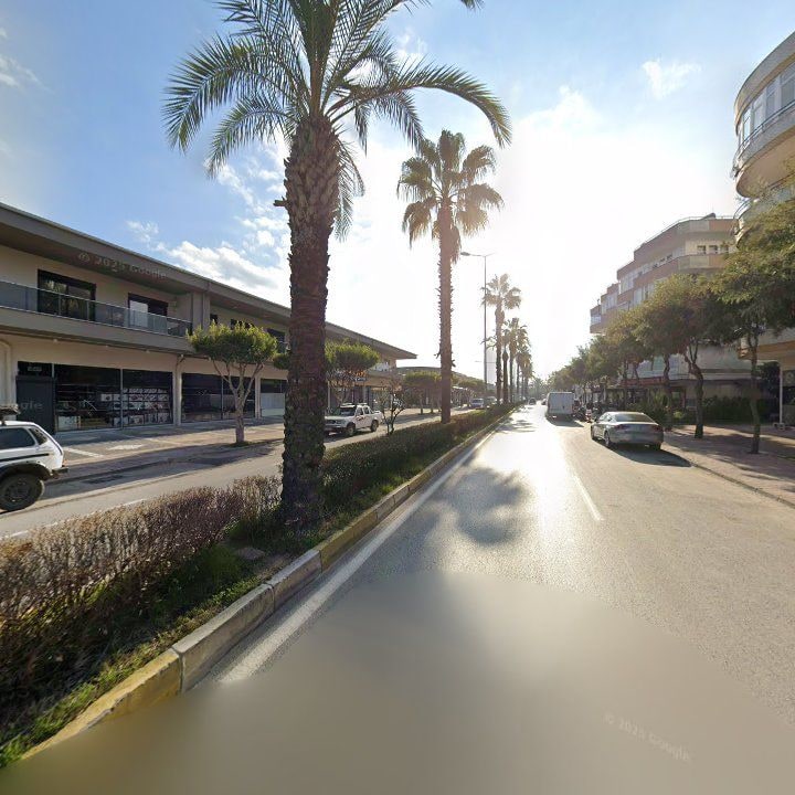 Fotoğraf 12