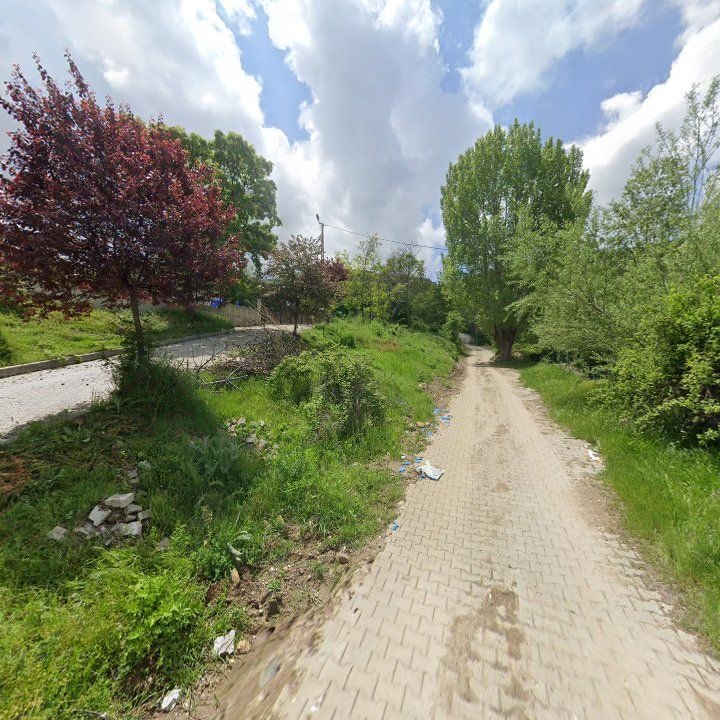 Fotoğraf 3