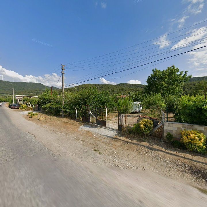 Fotoğraf 6