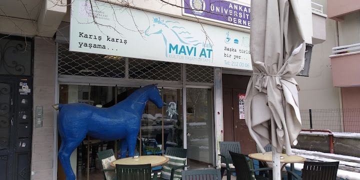 Mavi At Kafe