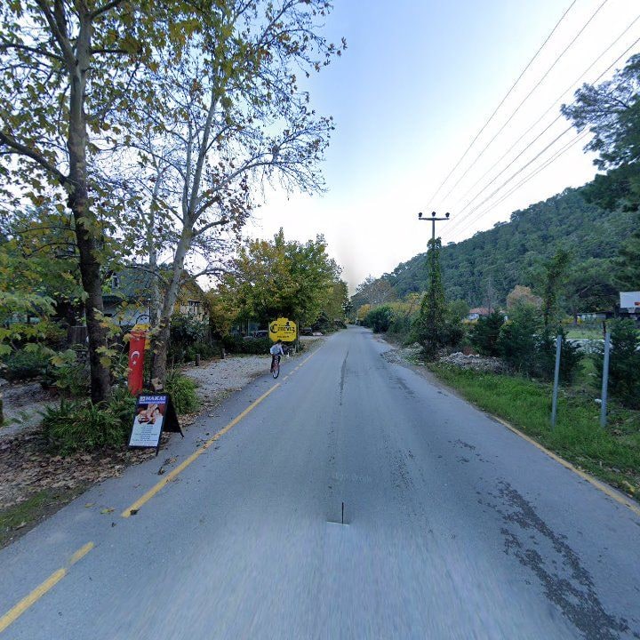 Fotoğraf 8