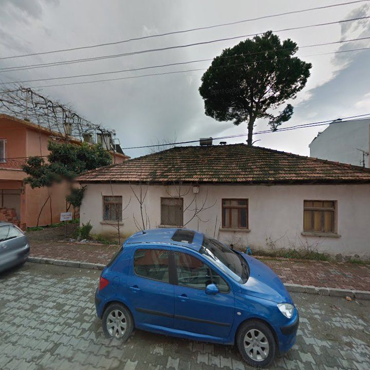 Fotoğraf 6