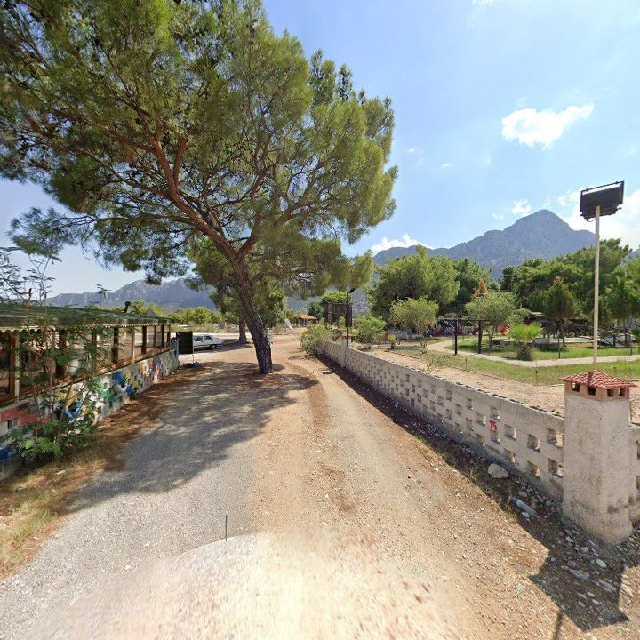 Fotoğraf 8