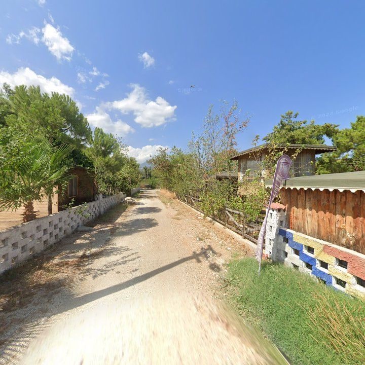 Fotoğraf 10
