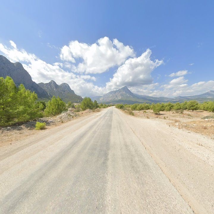 Fotoğraf 10