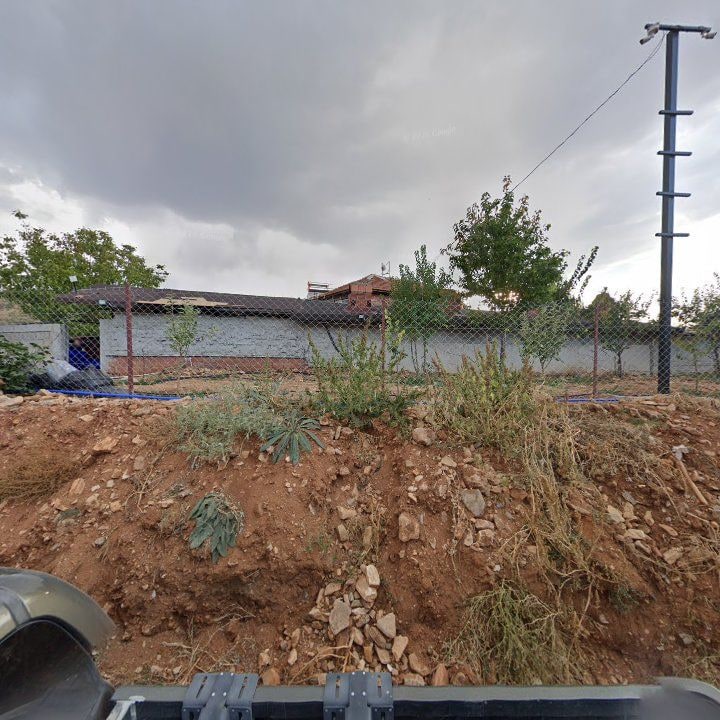 Fotoğraf 6