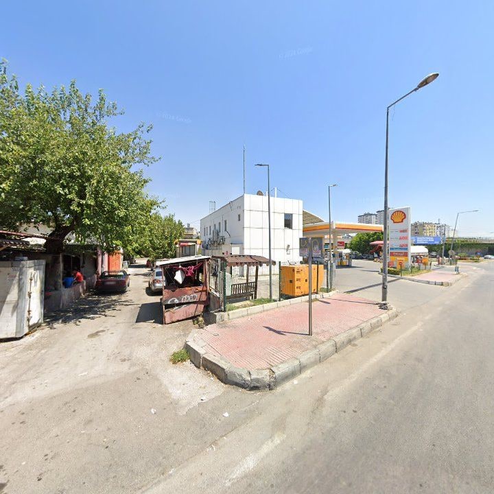Fotoğraf 3
