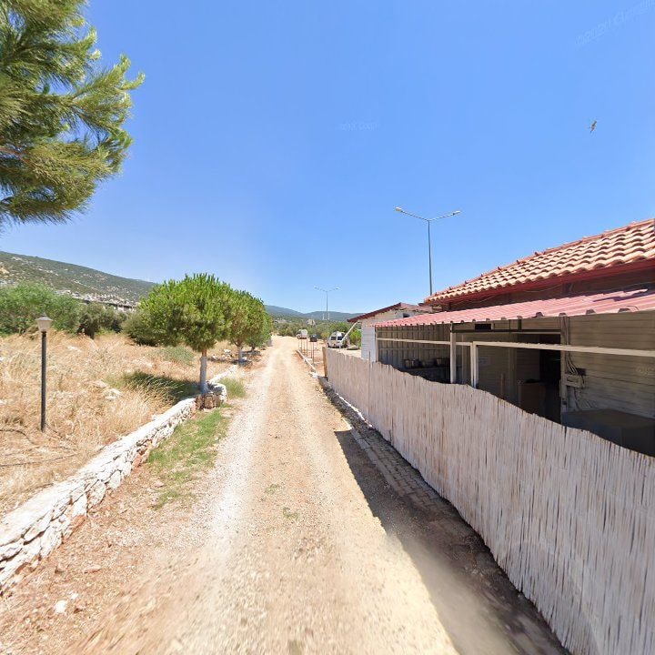 Fotoğraf 12