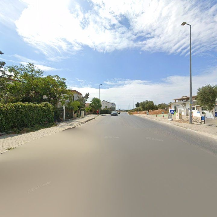 Fotoğraf 19
