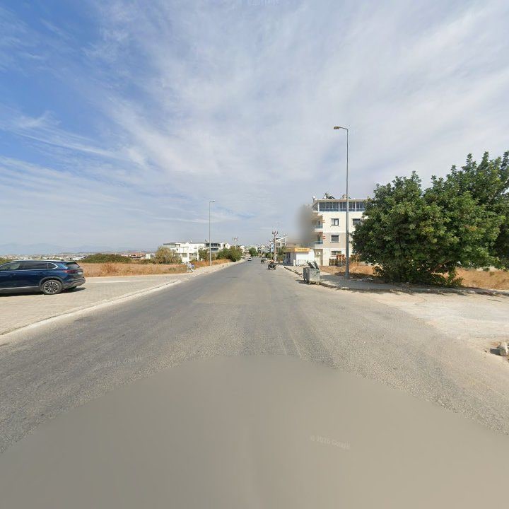 Fotoğraf 17