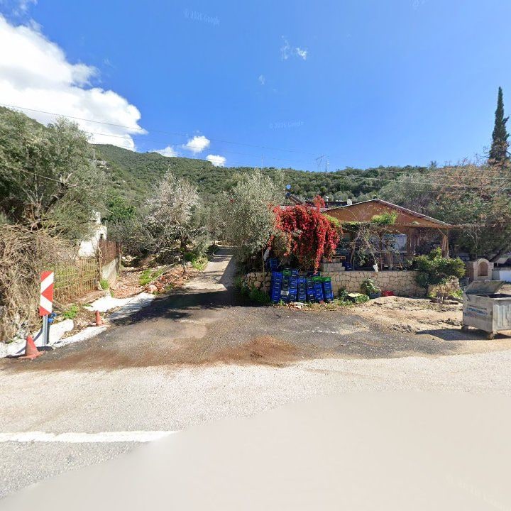 Fotoğraf 11