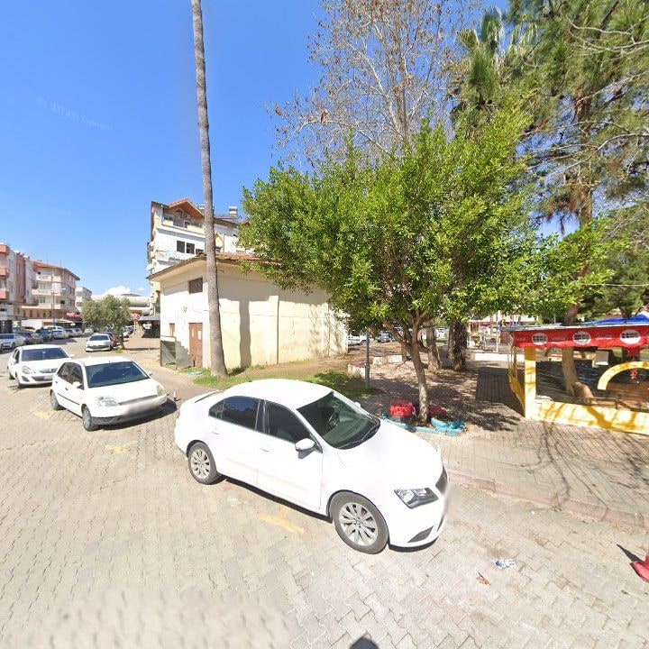 Fotoğraf 6