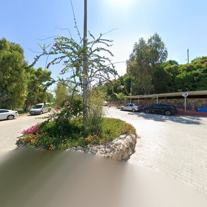Fotoğraf 11
