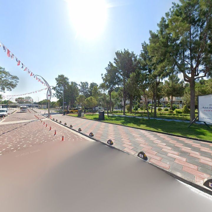 Fotoğraf 10