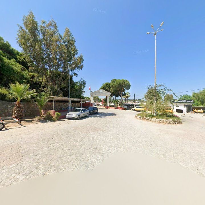 Fotoğraf 8