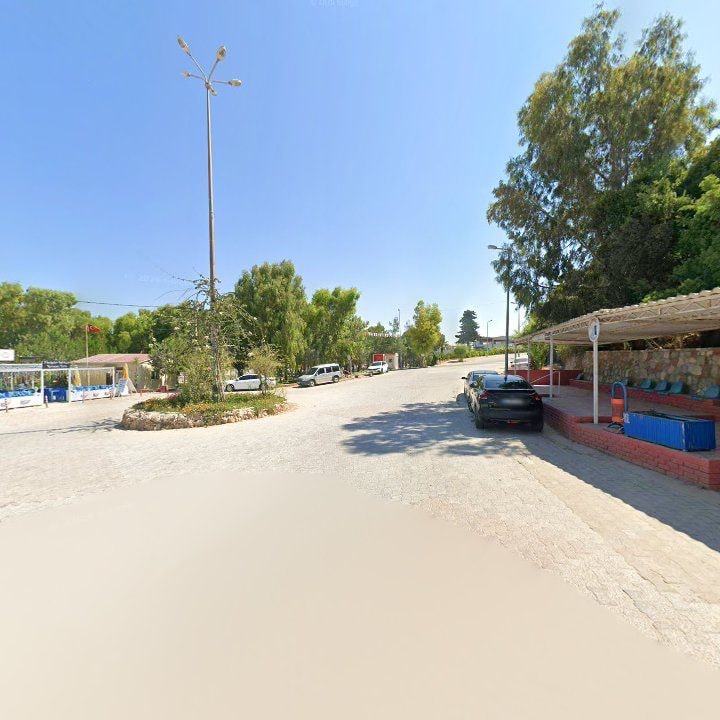 Fotoğraf 11