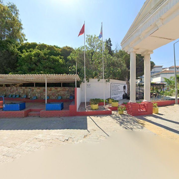 Fotoğraf 12