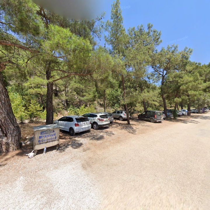 Fotoğraf 10