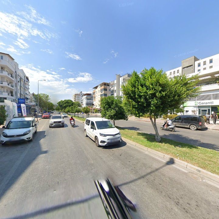 Fotoğraf 7