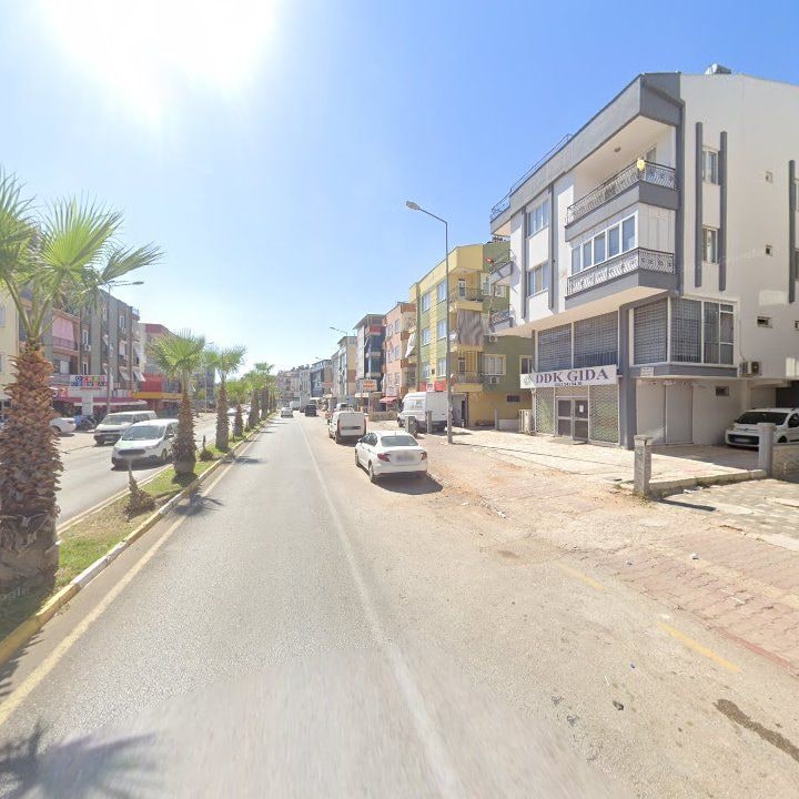 Fotoğraf 4