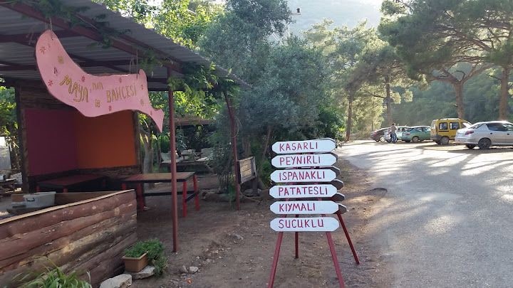 Maya'nın Bahçesi