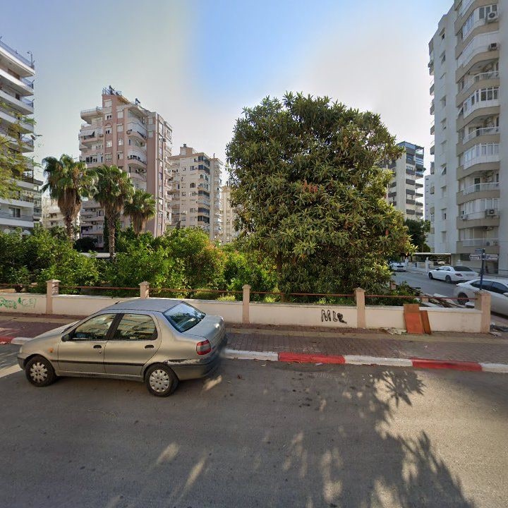 Fotoğraf 11