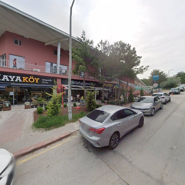 Fotoğraf 8