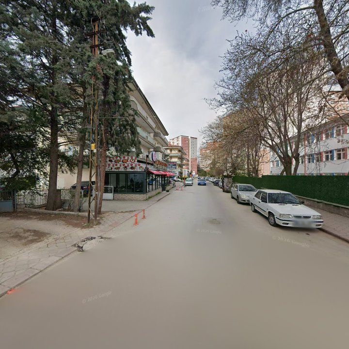 Fotoğraf 8
