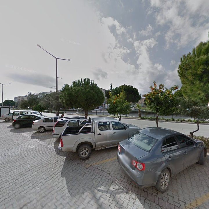 Fotoğraf 10