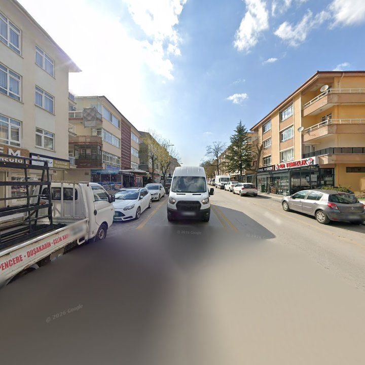 Fotoğraf 10