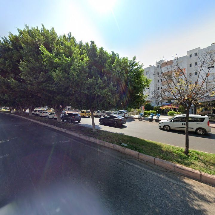 Fotoğraf 8
