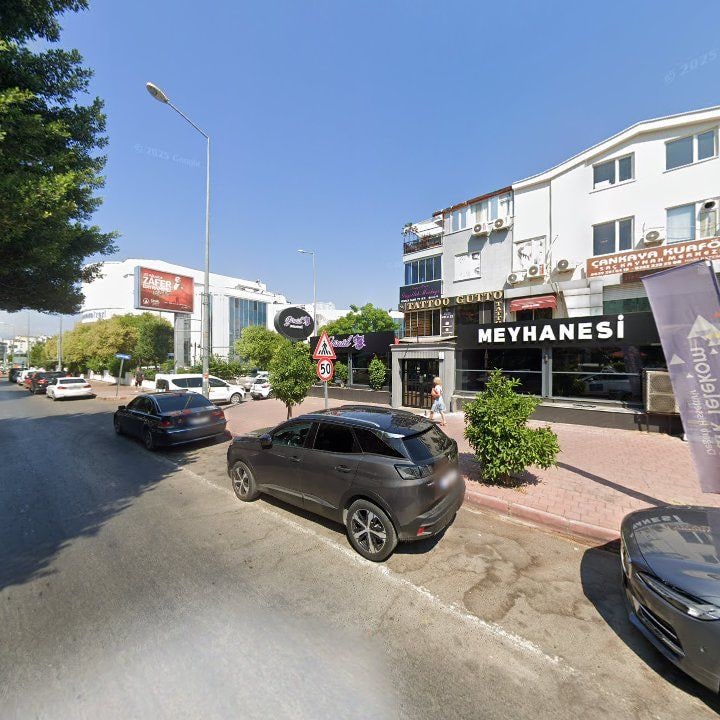 Fotoğraf 10