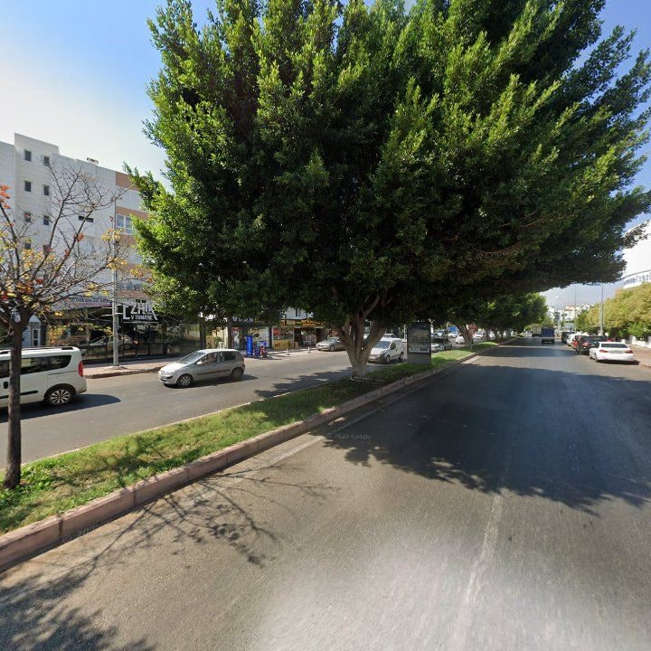 Fotoğraf 9