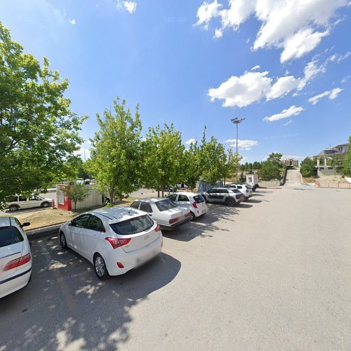 Fotoğraf 8