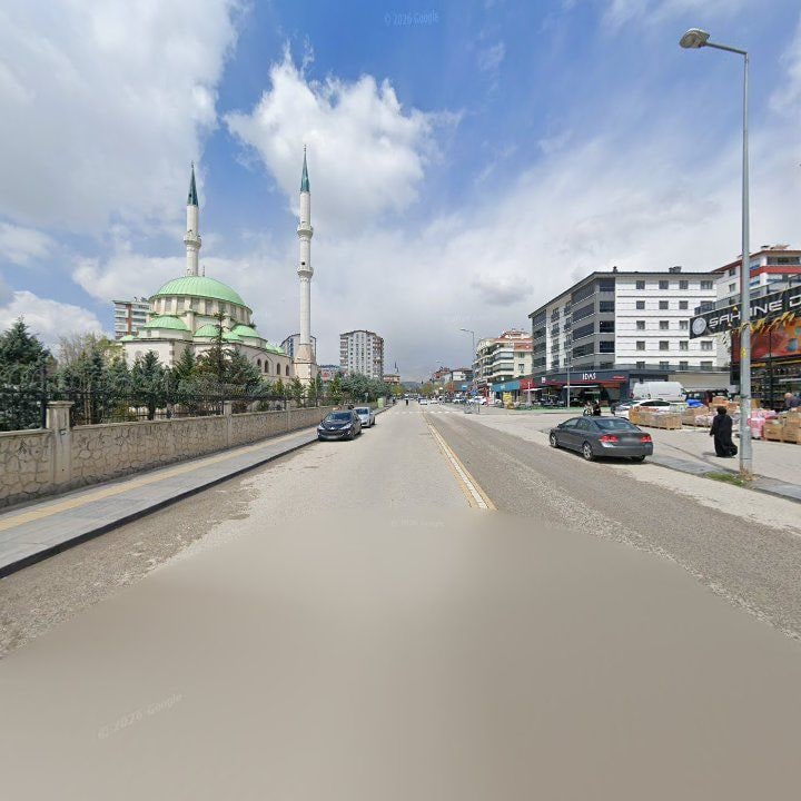 Fotoğraf 9