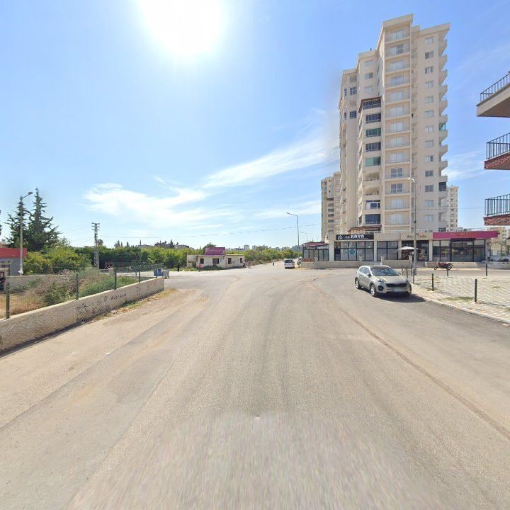 Fotoğraf 10